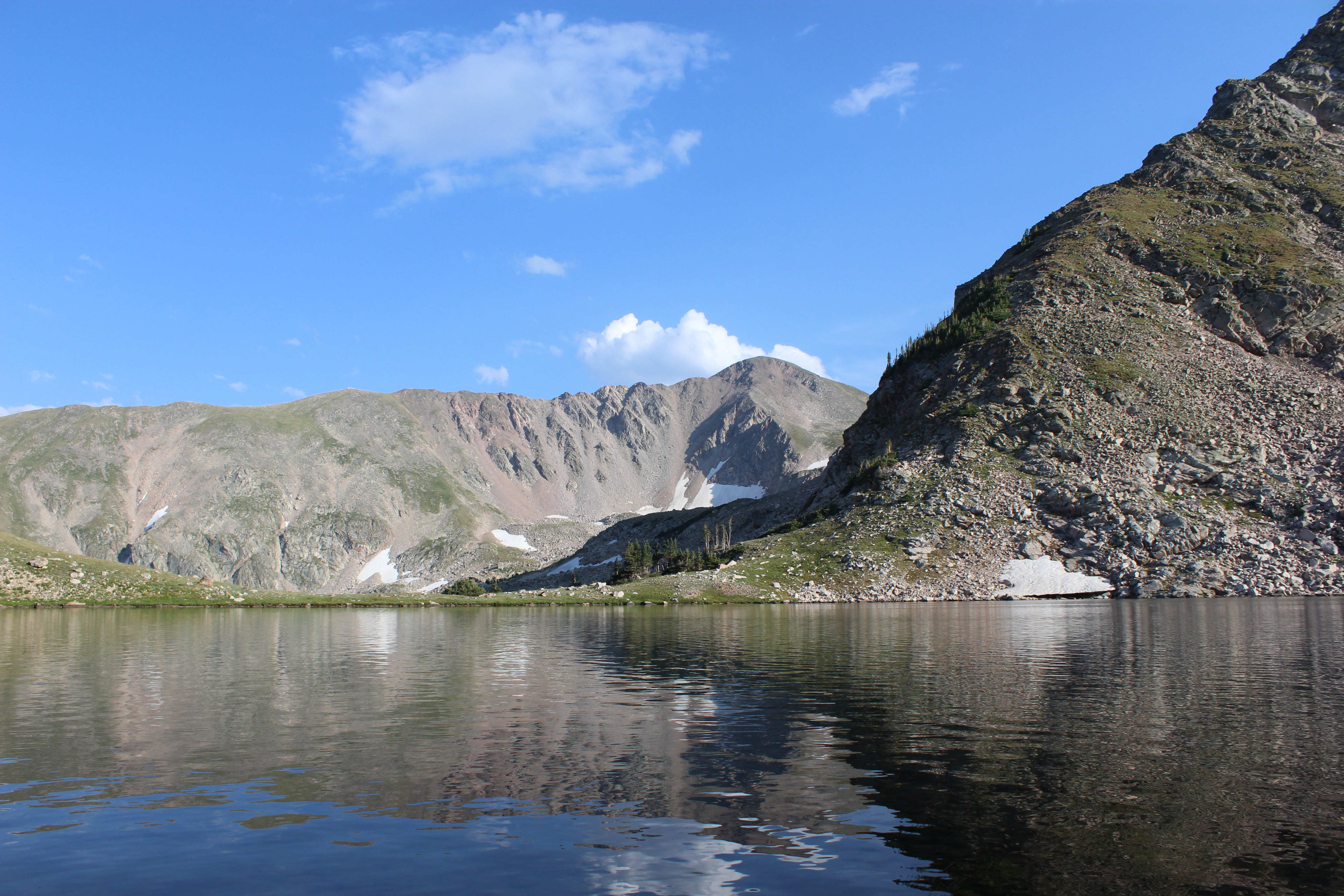 Will Fellhoelter-image